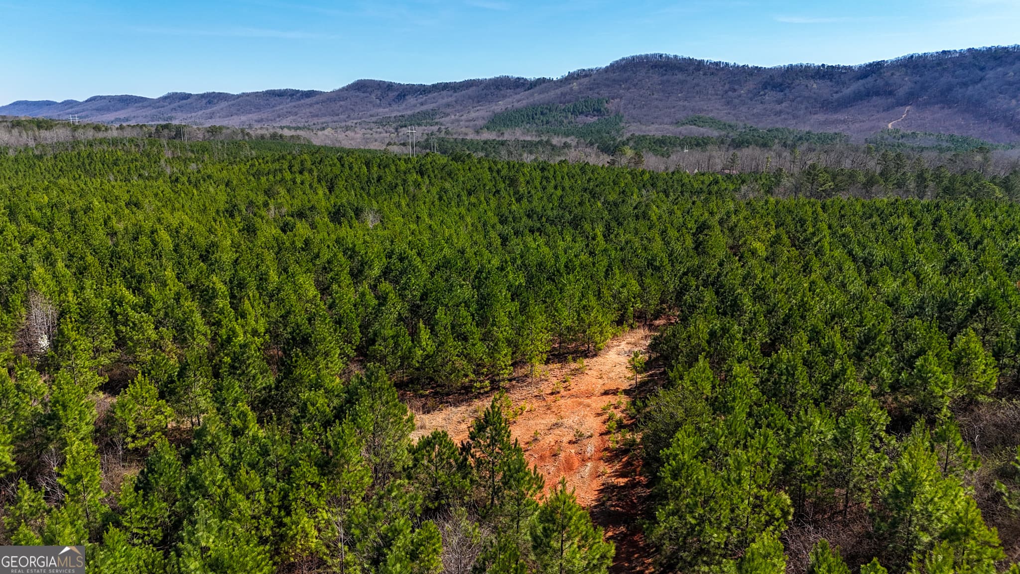 agriculture for sale at 0 Highway 100, Summerville, GA 30747 — photo 2