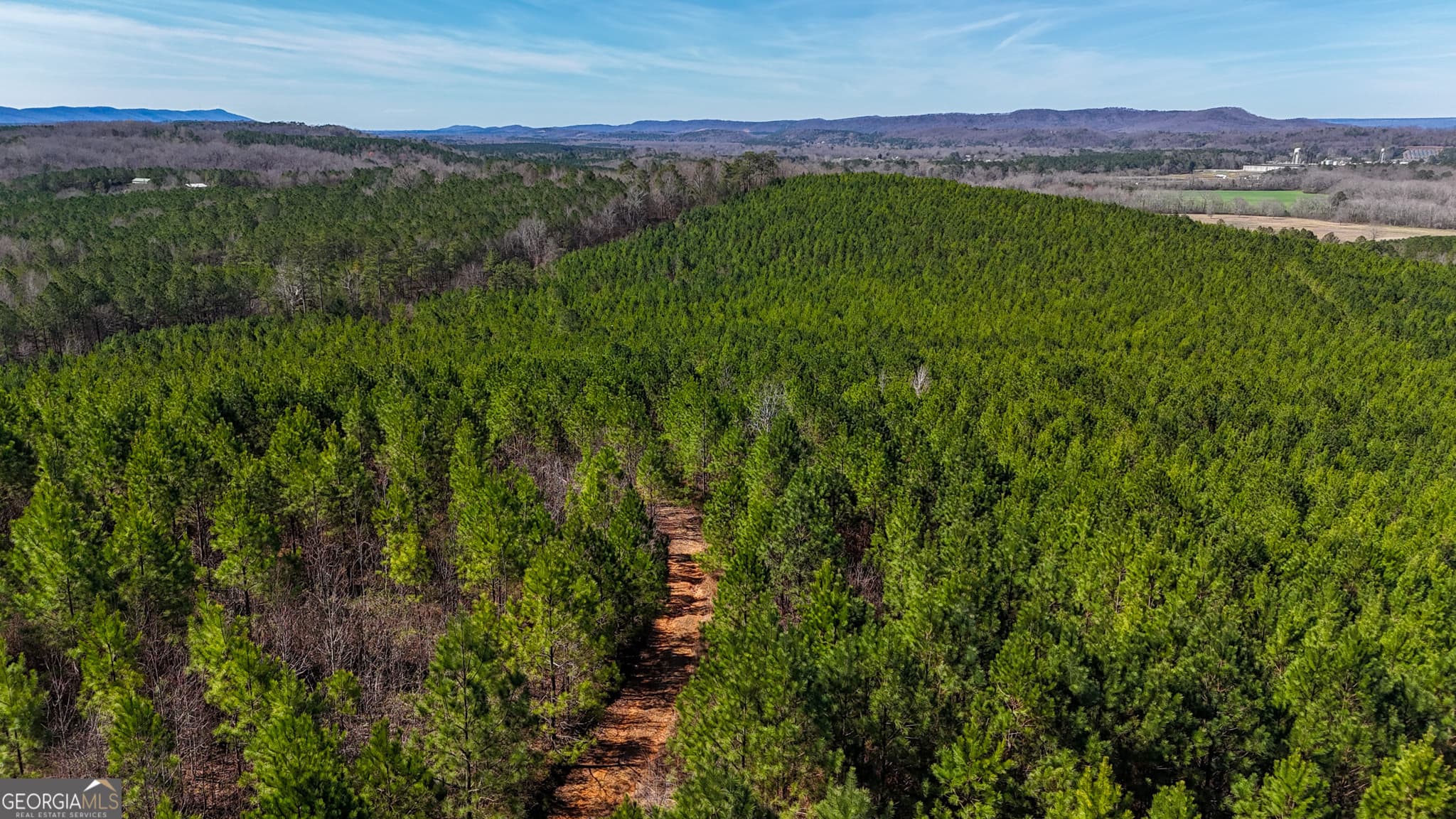 agriculture for sale at 0 Highway 100, Summerville, GA 30747 — photo 6
