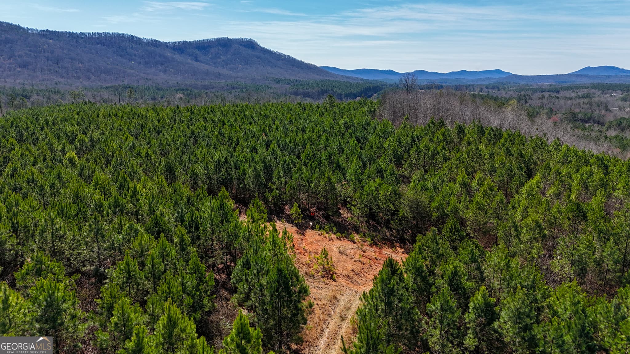 agriculture for sale at 0 Highway 100, Summerville, GA 30747 — photo 3