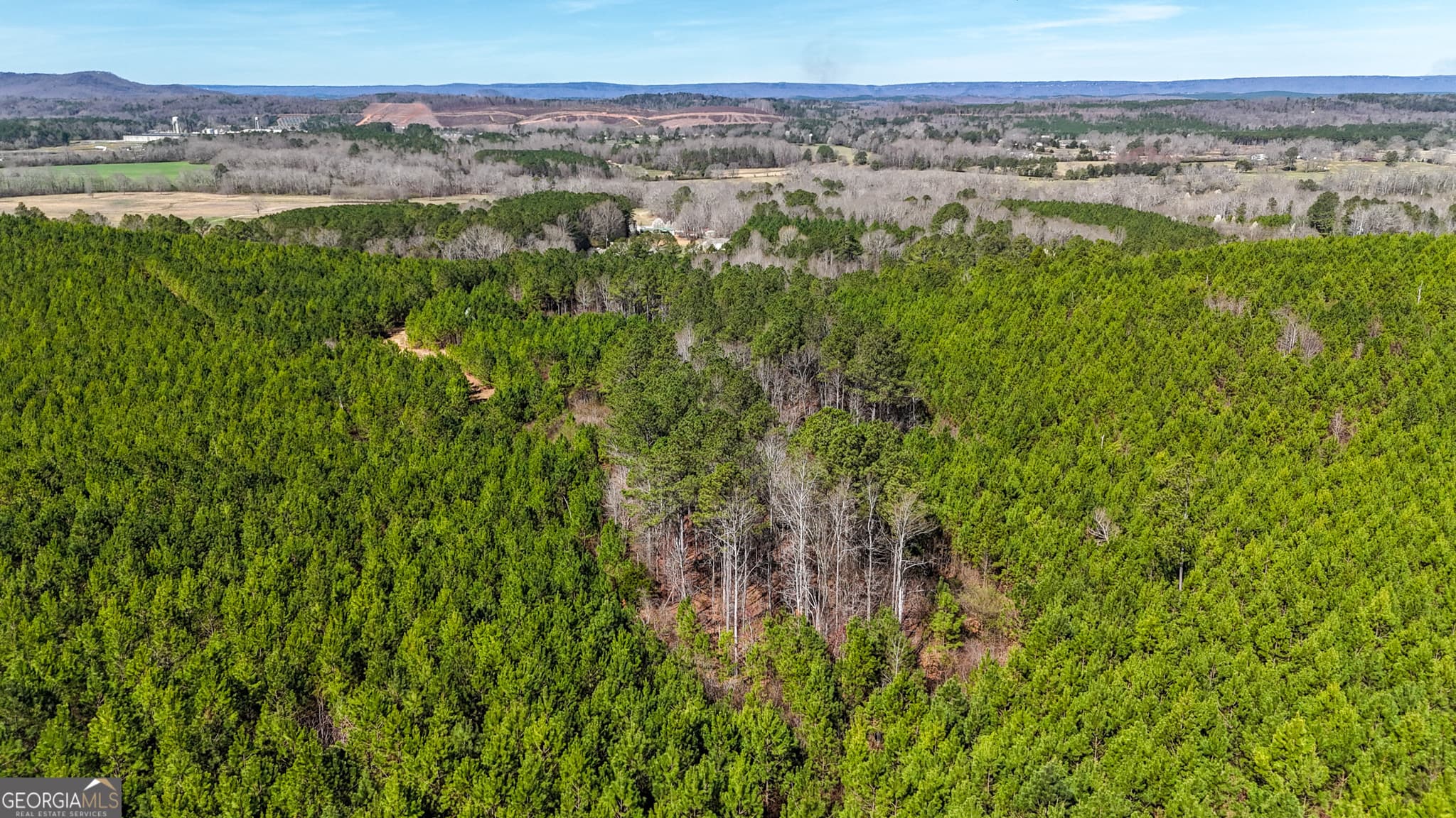 agriculture for sale at 0 Highway 100, Summerville, GA 30747 — photo 1 of 22