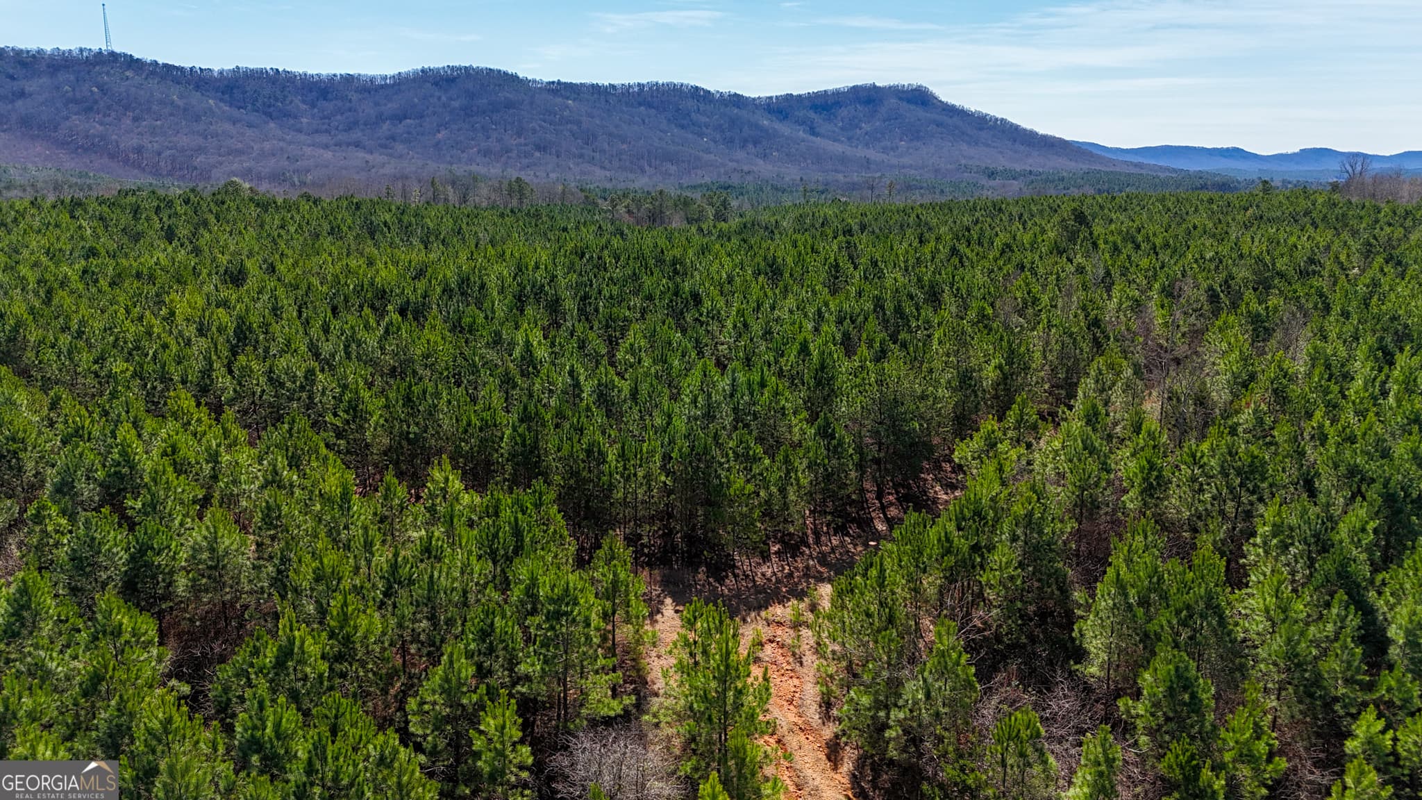 agriculture for sale at 0 Highway 100, Summerville, GA 30747 — photo 5