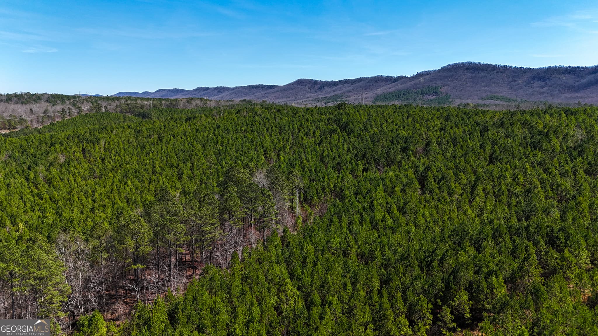 agriculture for sale at 0 Highway 100, Summerville, GA 30747 — photo 9