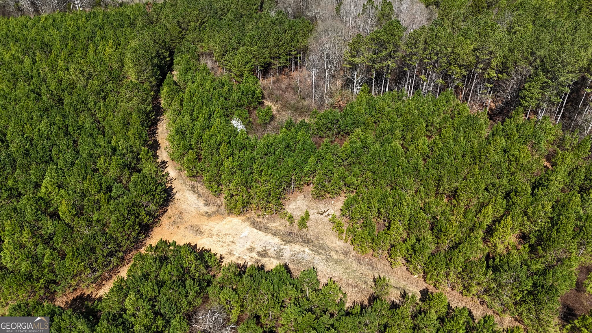 agriculture for sale at 0 Highway 100, Summerville, GA 30747 — photo 10