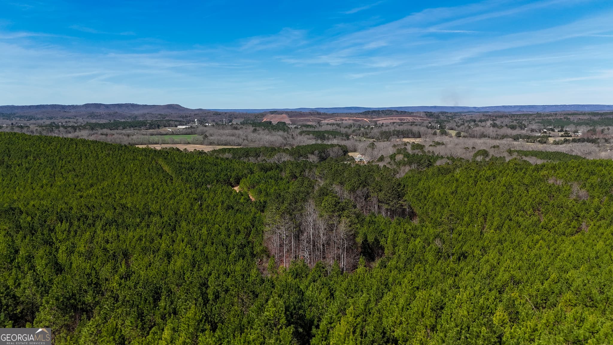 agriculture for sale at 0 Highway 100, Summerville, GA 30747 — photo 4