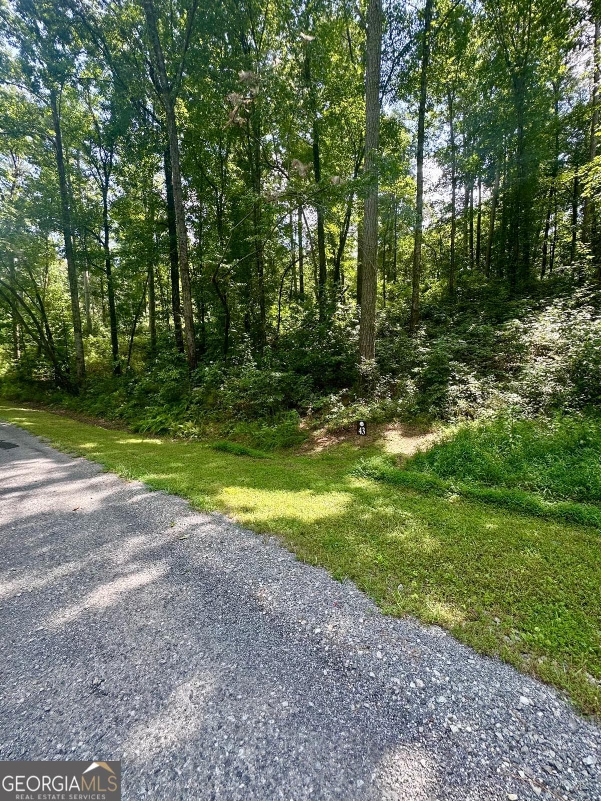 residential lot for sale at LT 43 Hilton Drive, Ellijay, GA 30540 — photo 2