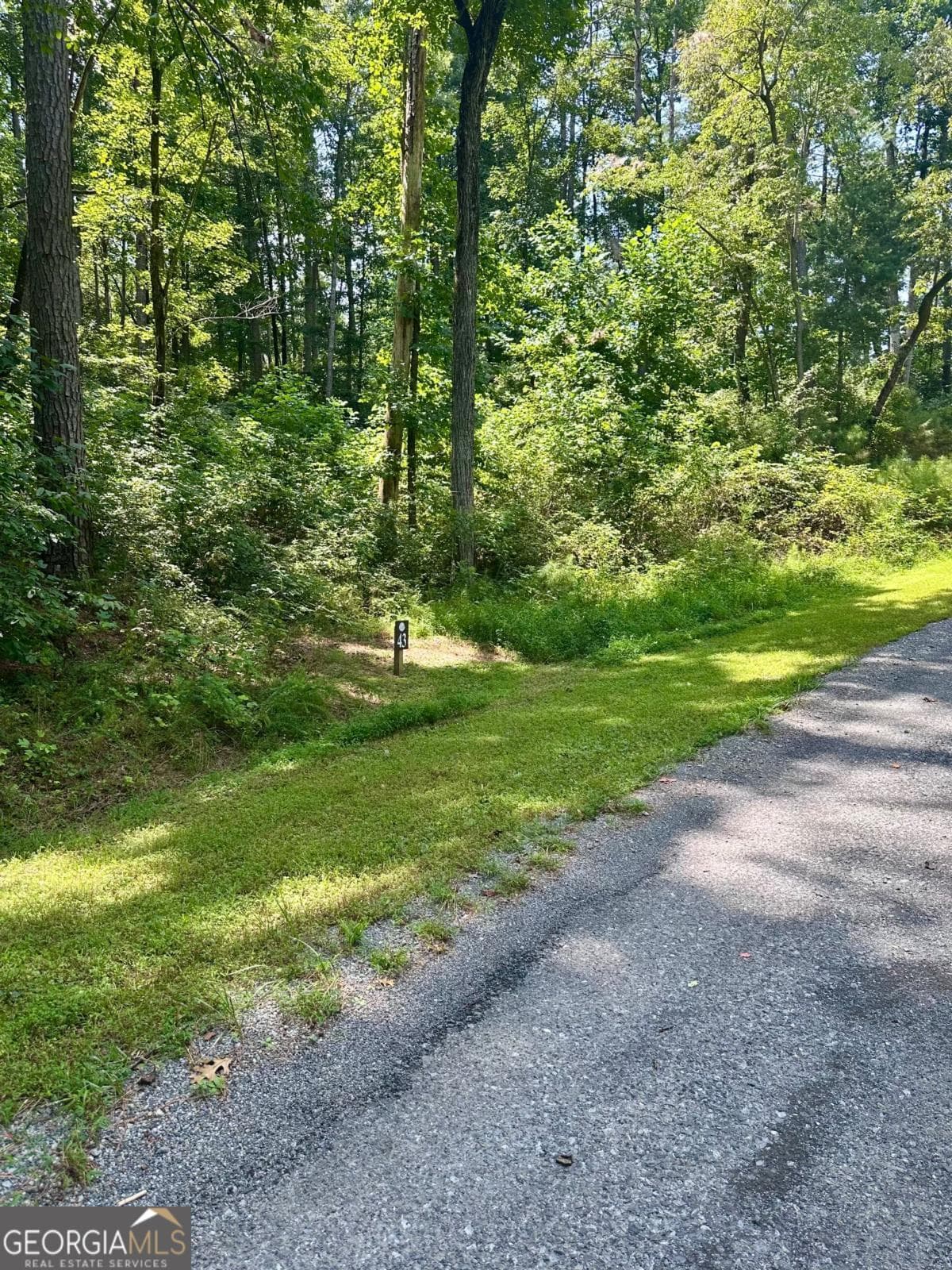 residential lot for sale at LT 43 Hilton Drive, Ellijay, GA 30540 — photo 6
