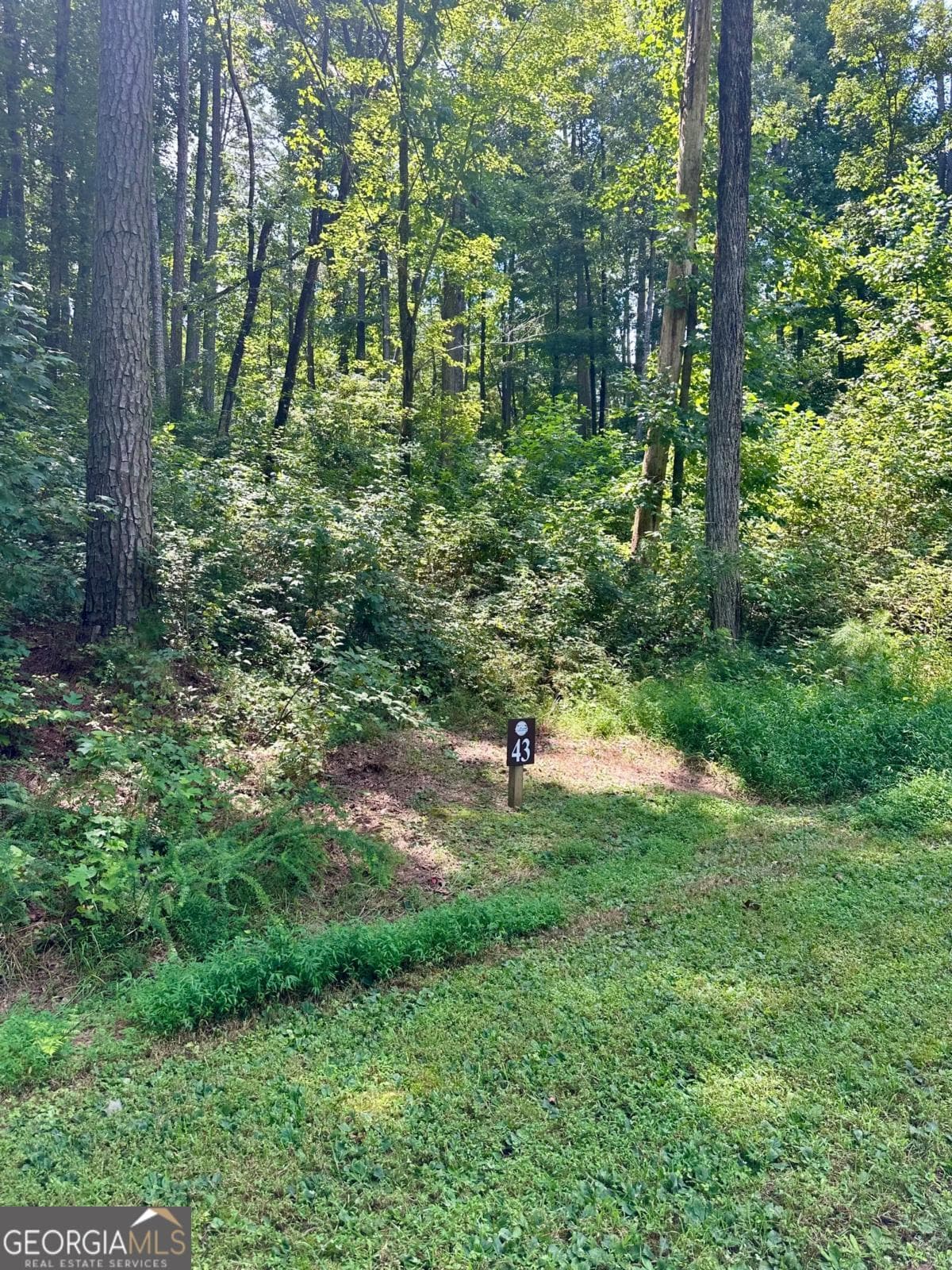residential lot for sale at LT 43 Hilton Drive, Ellijay, GA 30540 — photo 7