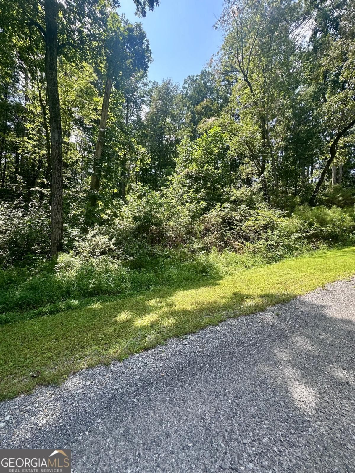 residential lot for sale at LT 43 Hilton Drive, Ellijay, GA 30540 — photo 3