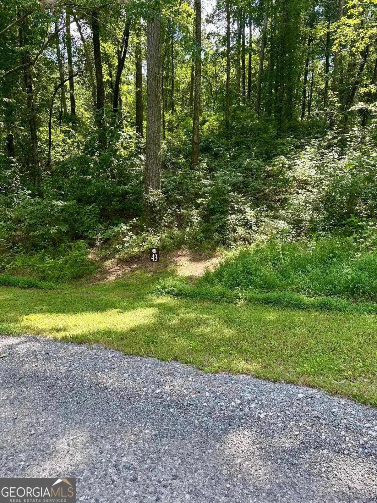 residential lot for sale at LT 43 Hilton Drive, Ellijay, GA 30540 — photo 5