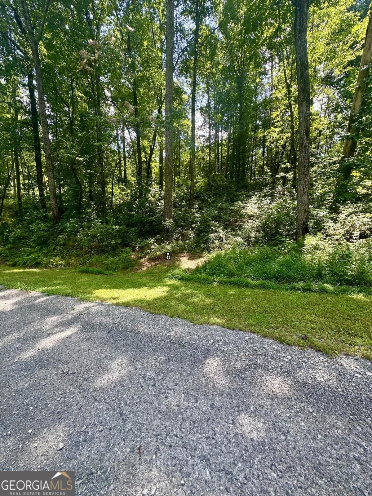 residential lot for sale at LT 43 Hilton Drive, Ellijay, GA 30540 — photo 4