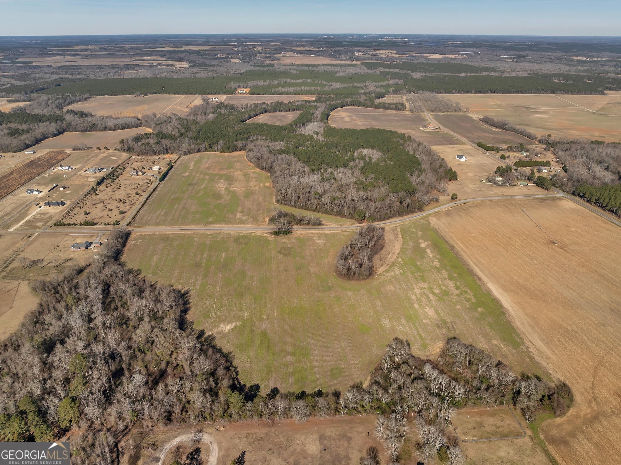 agriculture sold at 0 Williams Circle, Elko, GA 31025