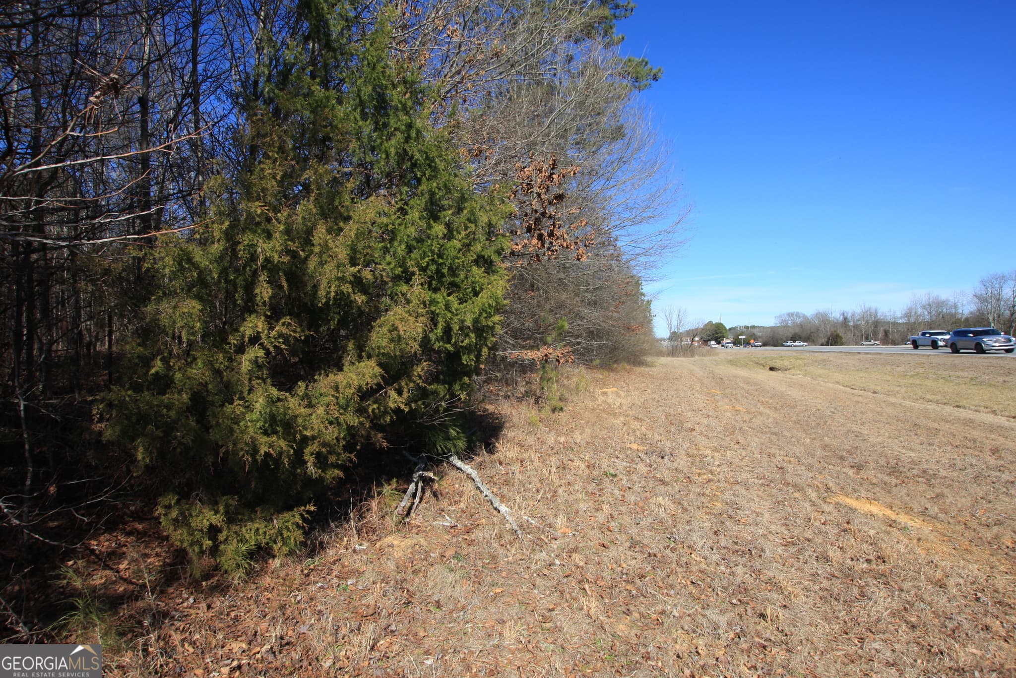 commercial for sale at 0 Calhoun Highway, Rome, GA 30161 — photo 2