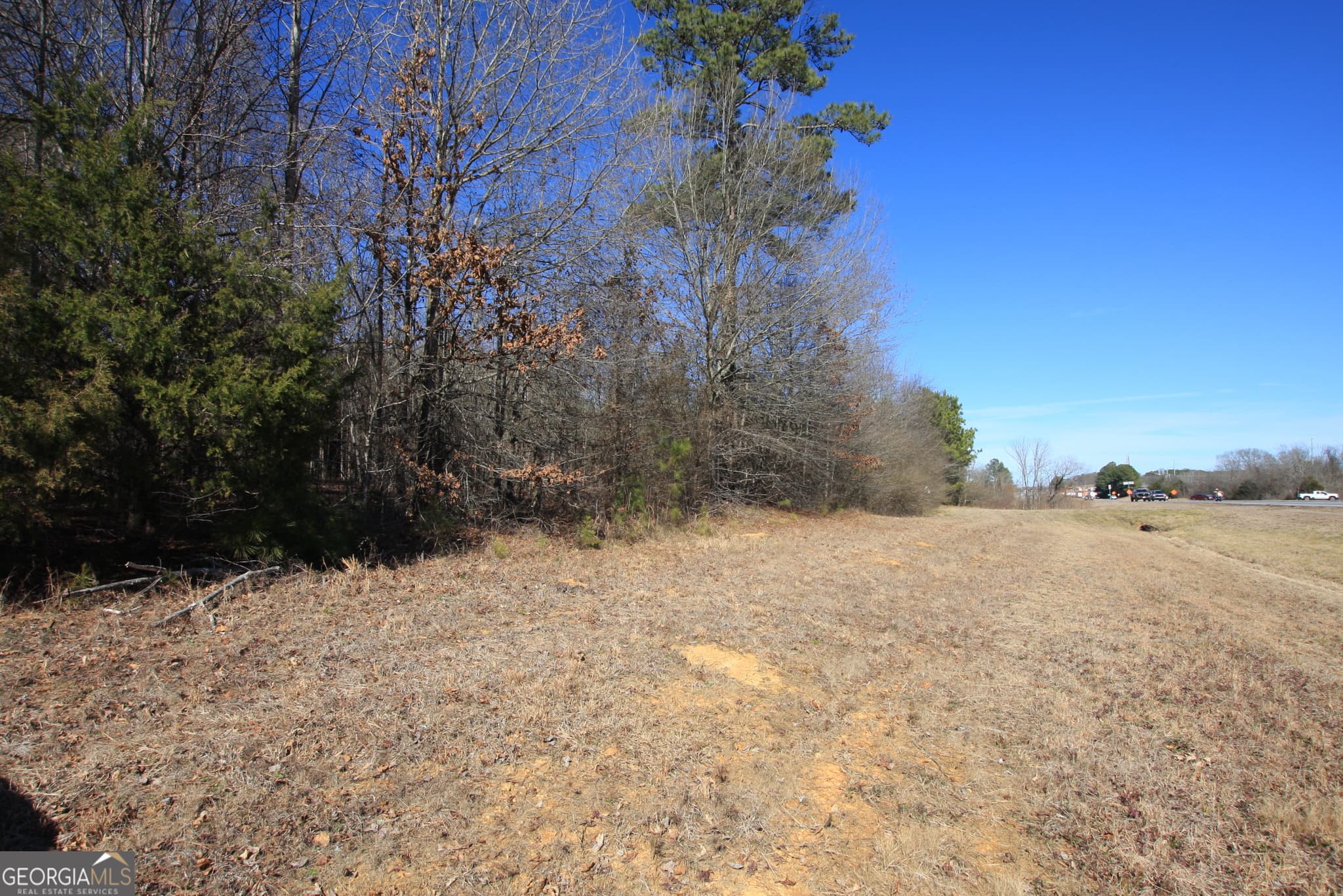 commercial for sale at 0 Calhoun Highway, Rome, GA 30161 — photo 3