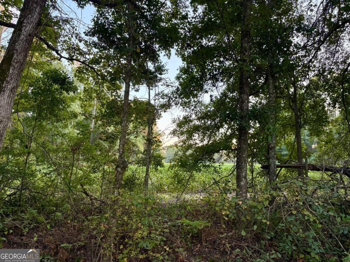 unimproved land for sale at 0 Old Moore Road 5, Portal, GA 30450 — photo 7
