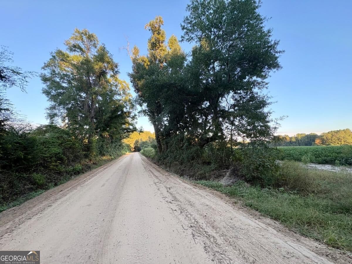 unimproved land for sale at 0 Old Moore Road 5, Portal, GA 30450 — photo 3