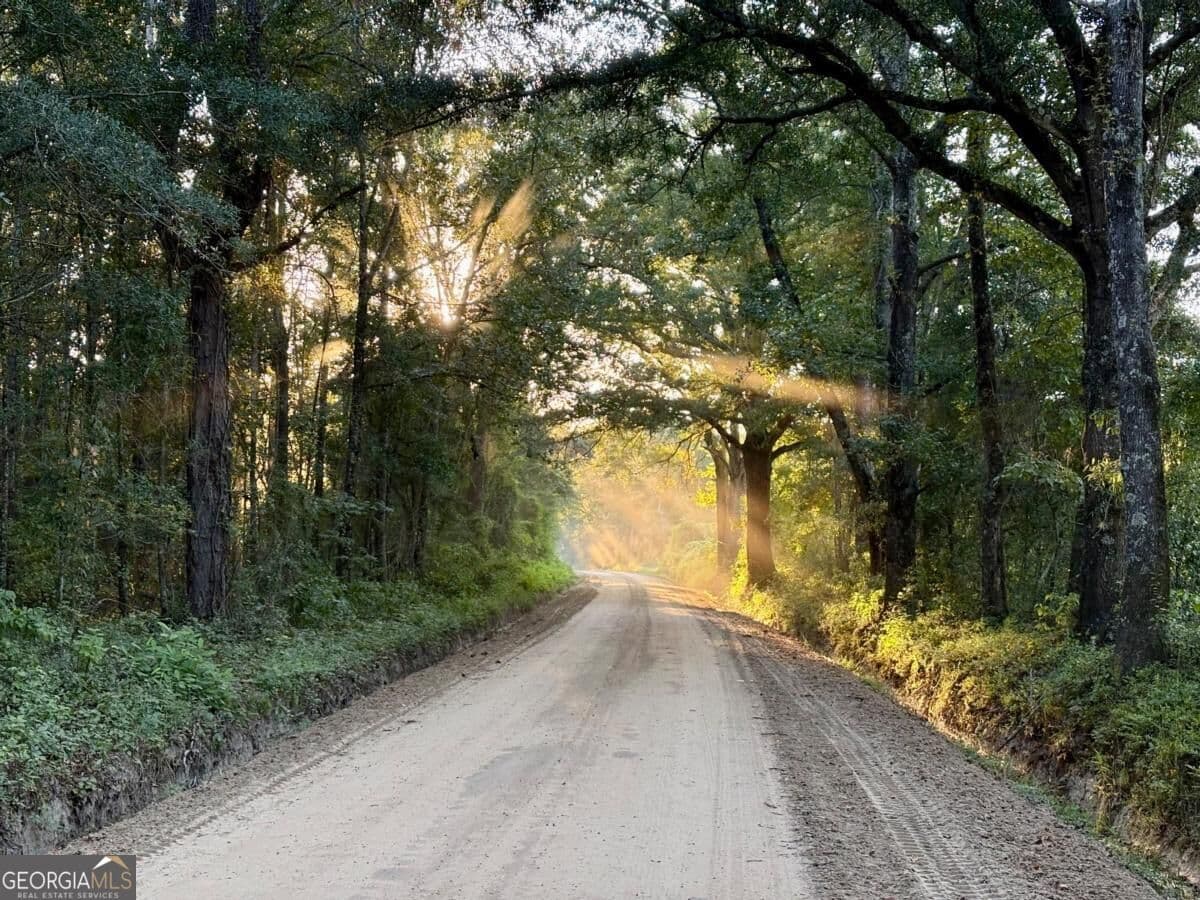 unimproved land for sale at 0 Old Moore Road 5, Portal, GA 30450 — photo 1 of 9