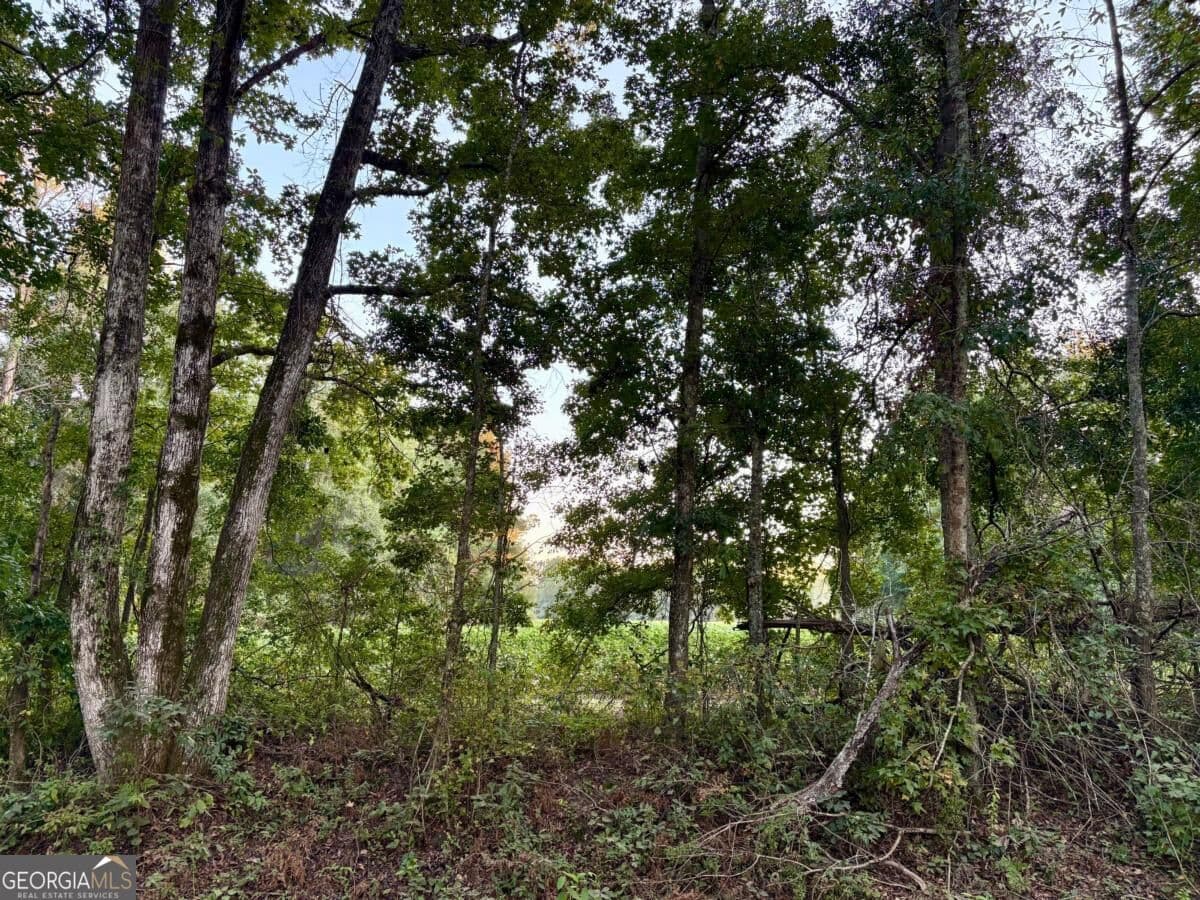 unimproved land for sale at 0 Old Moore Road 5, Portal, GA 30450 — photo 8