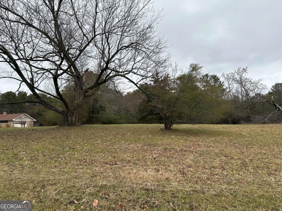 residential lot for sale at 0 SE Flat Shoals Road, Conyers, GA 30013 — photo 2