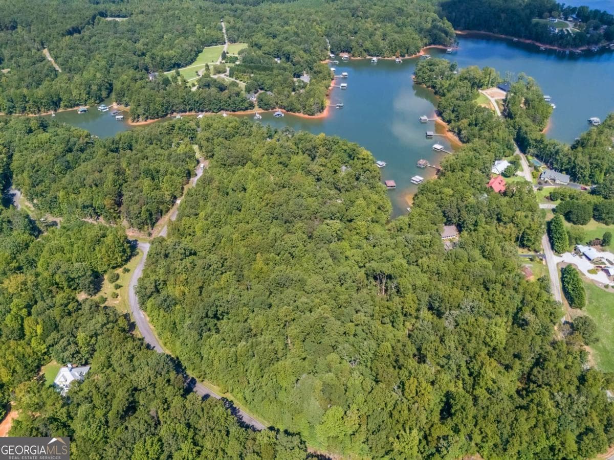 unimproved land for sale at LOTS 1 & 2 Twin Knolls Trail, Martin, GA 30557 — photo 6