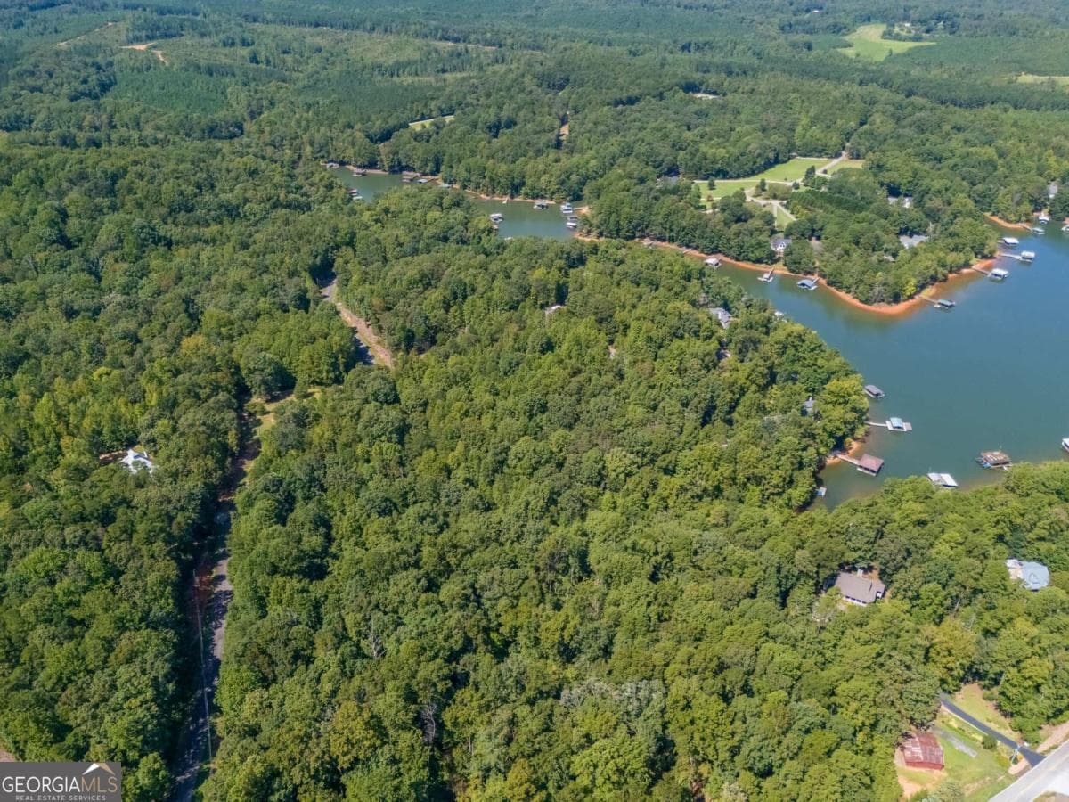 unimproved land for sale at LOTS 1 & 2 Twin Knolls Trail, Martin, GA 30557 — photo 7
