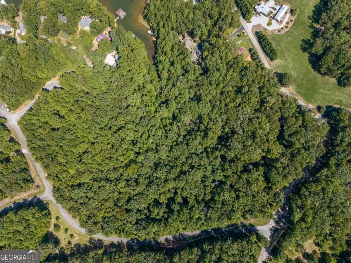 unimproved land for sale at LOTS 1 & 2 Twin Knolls Trail, Martin, GA 30557 — photo 5