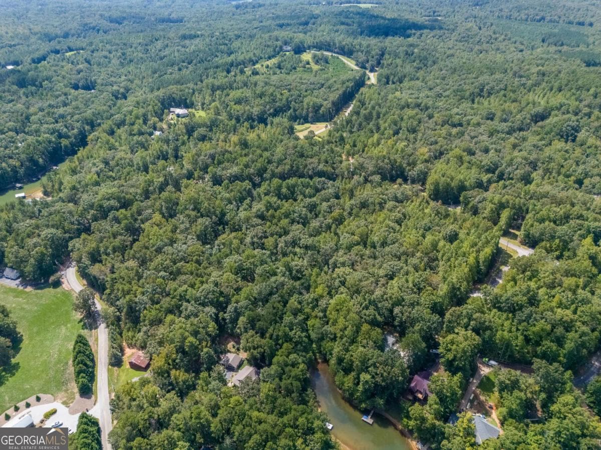 unimproved land for sale at LOTS 1 & 2 Twin Knolls Trail, Martin, GA 30557 — photo 9