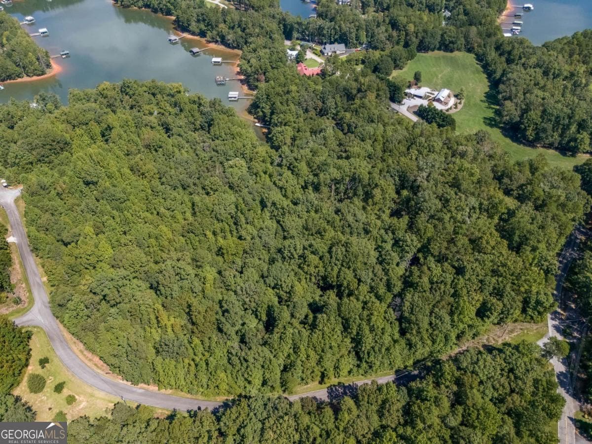 unimproved land for sale at LOTS 1 & 2 Twin Knolls Trail, Martin, GA 30557 — photo 4