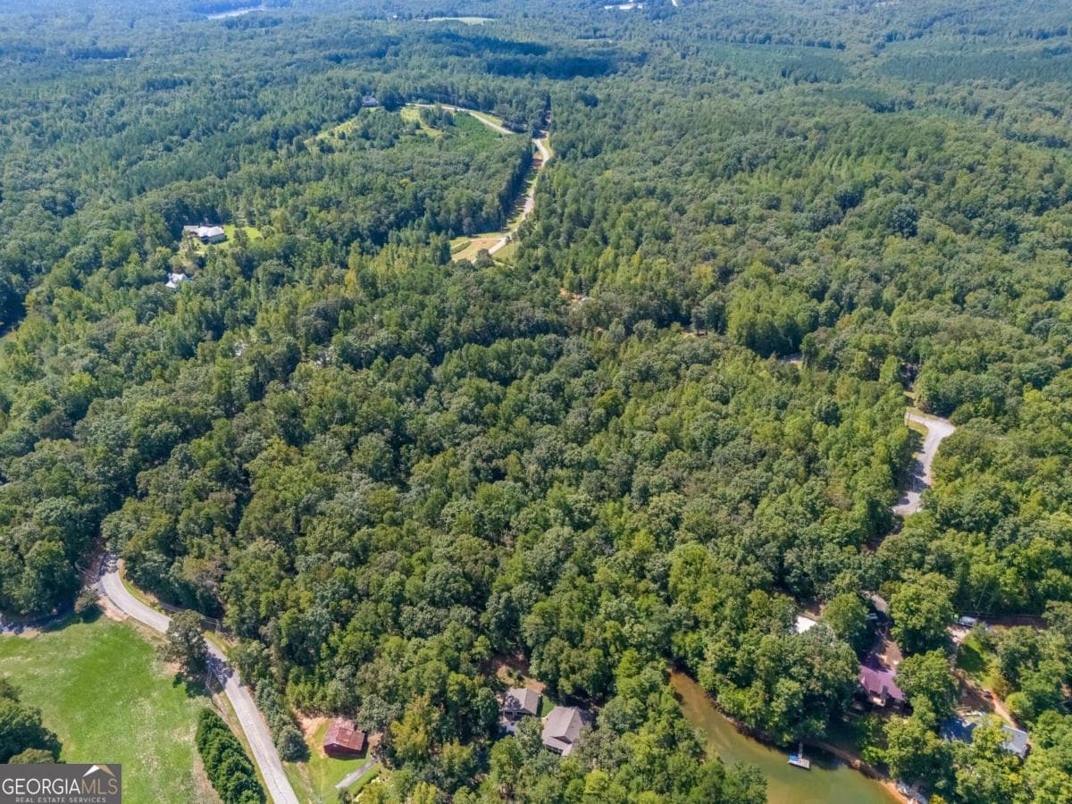 unimproved land for sale at LOTS 1 & 2 Twin Knolls Trail, Martin, GA 30557 — photo 8
