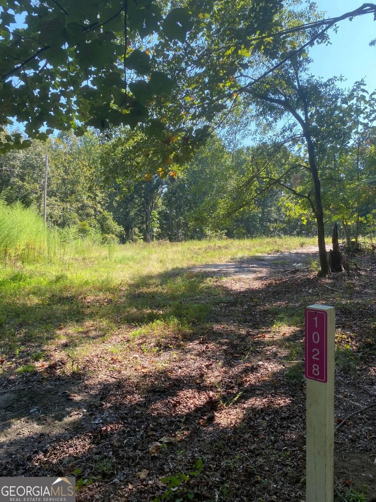 unimproved land for sale at 1028 Oak Grove Road, Athens, GA 30607 — photo 6