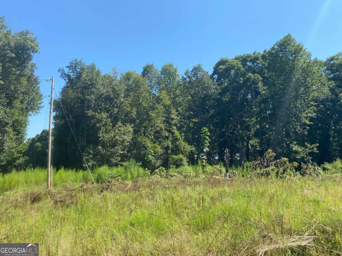 unimproved land for sale at 1028 Oak Grove Road, Athens, GA 30607 — photo 5