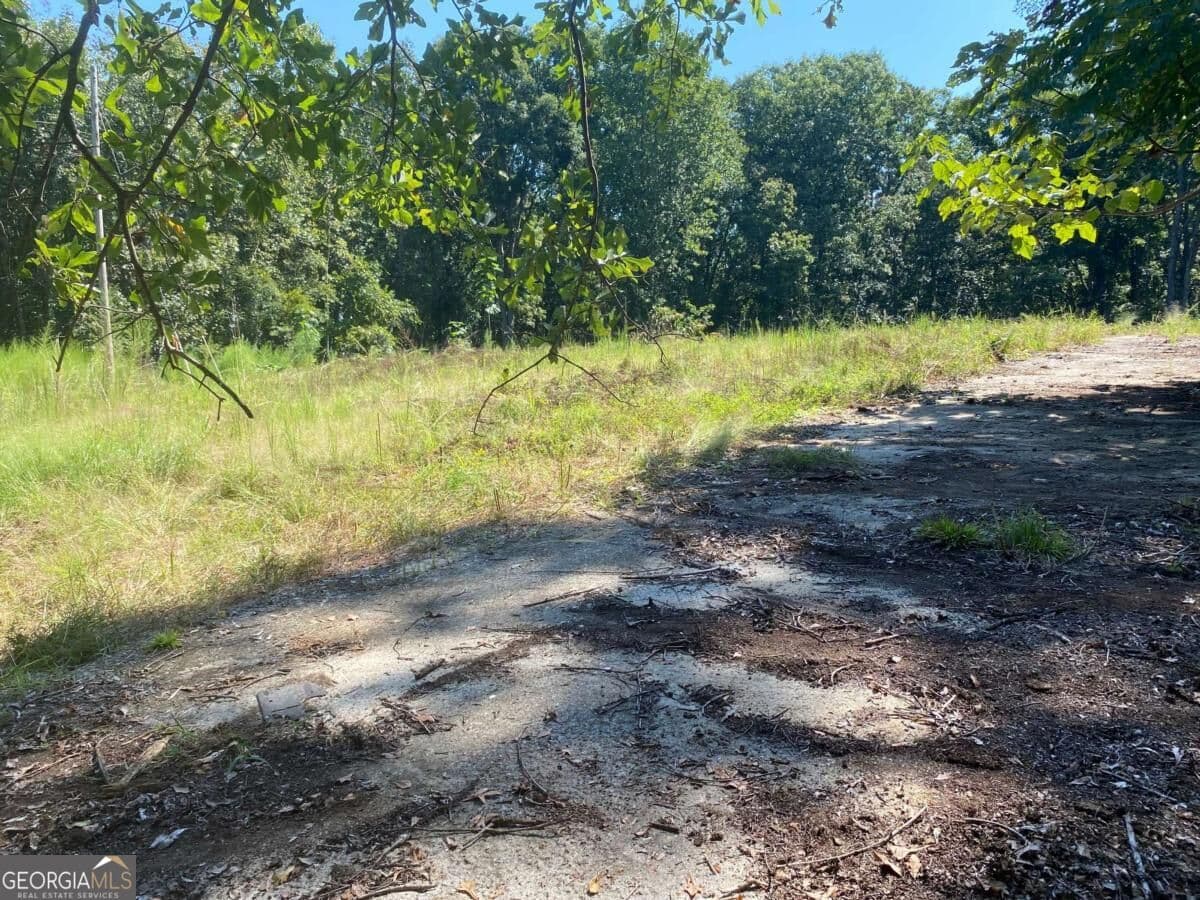 unimproved land for sale at 1028 Oak Grove Road, Athens, GA 30607 — photo 4