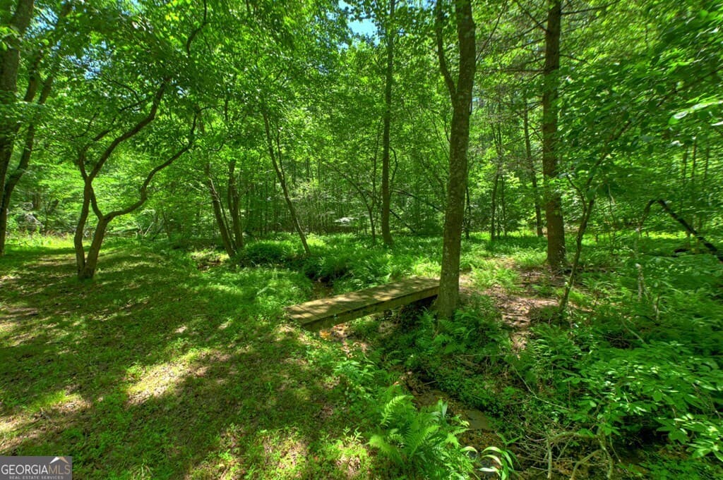 3 bedroom, 2 bathroom, 2,516 sq ft cabin,single family residence for sale at 6385 Hwy 2, Epworth, GA 30541 — photo 8