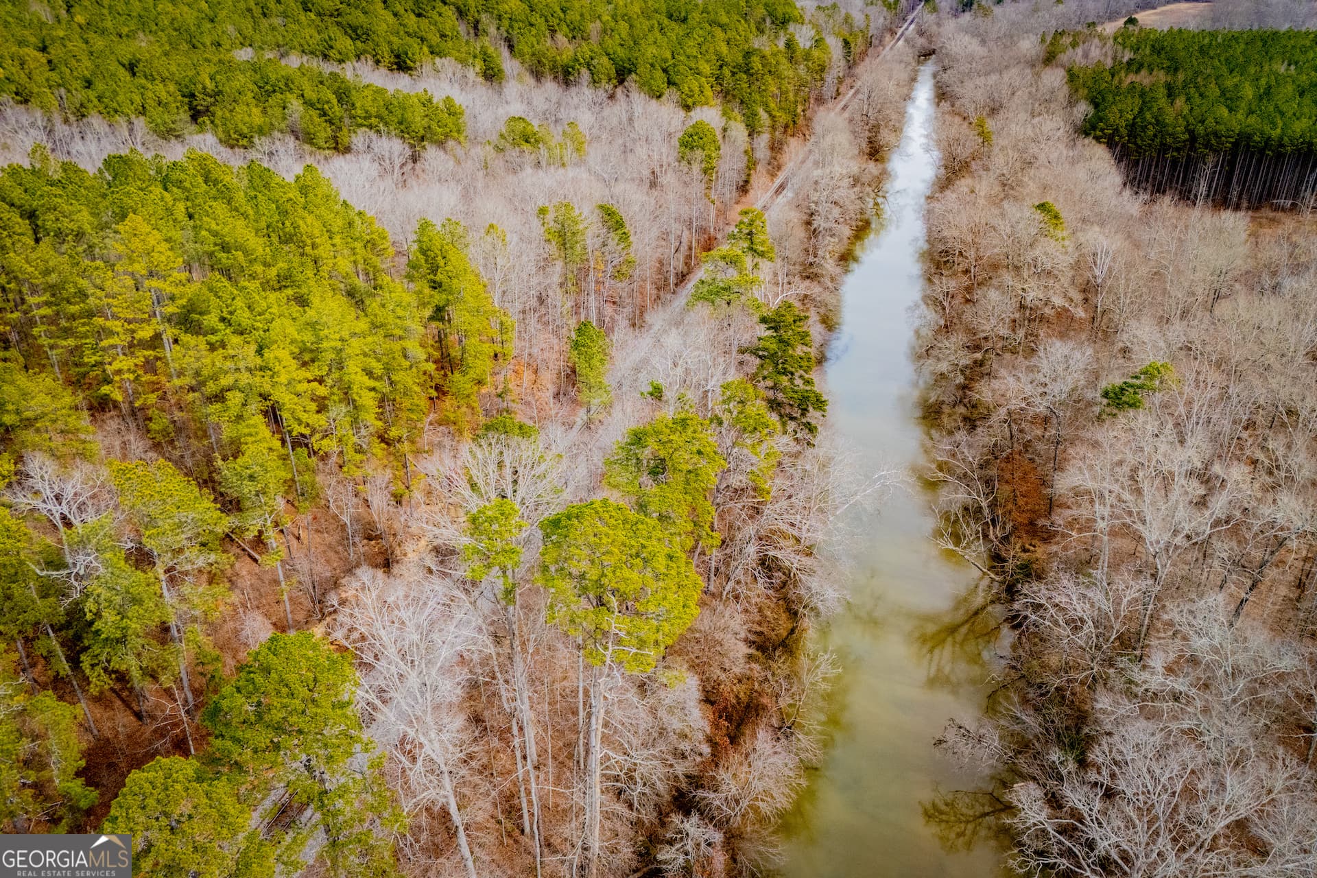 residential lot for sale at 1365 County road 290, Muscadine, AL 36269 — photo 6