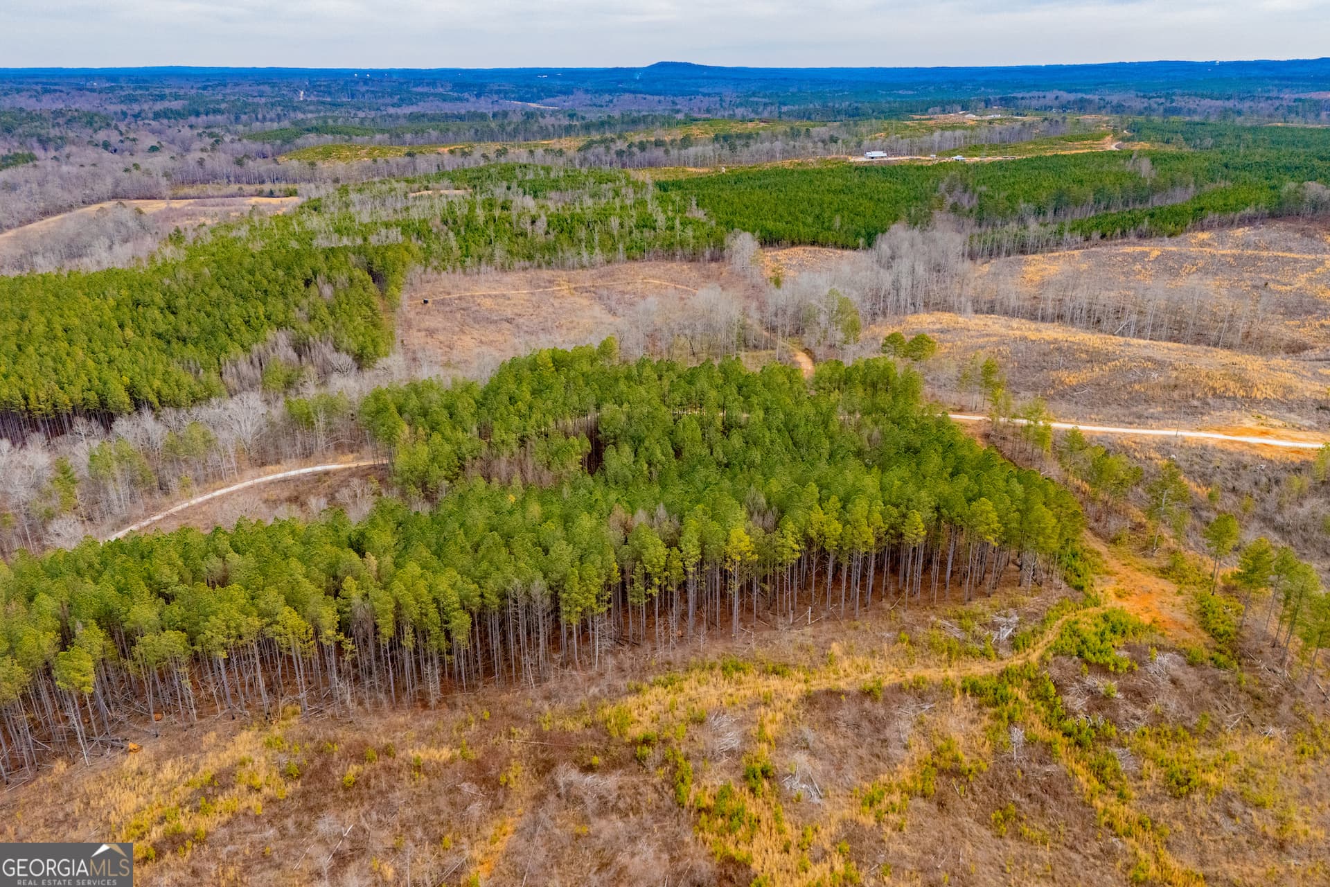residential lot for sale at 1365 County road 290, Muscadine, AL 36269 — photo 7