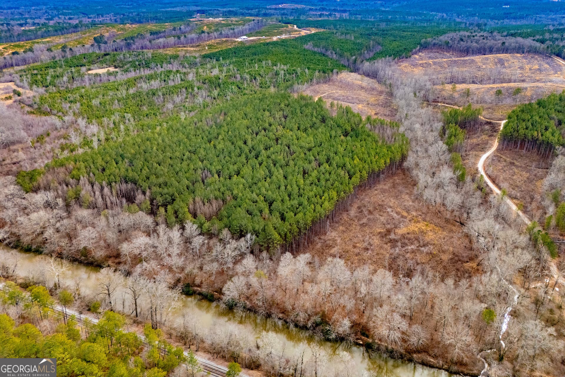residential lot for sale at 1365 County road 290, Muscadine, AL 36269 — photo 3