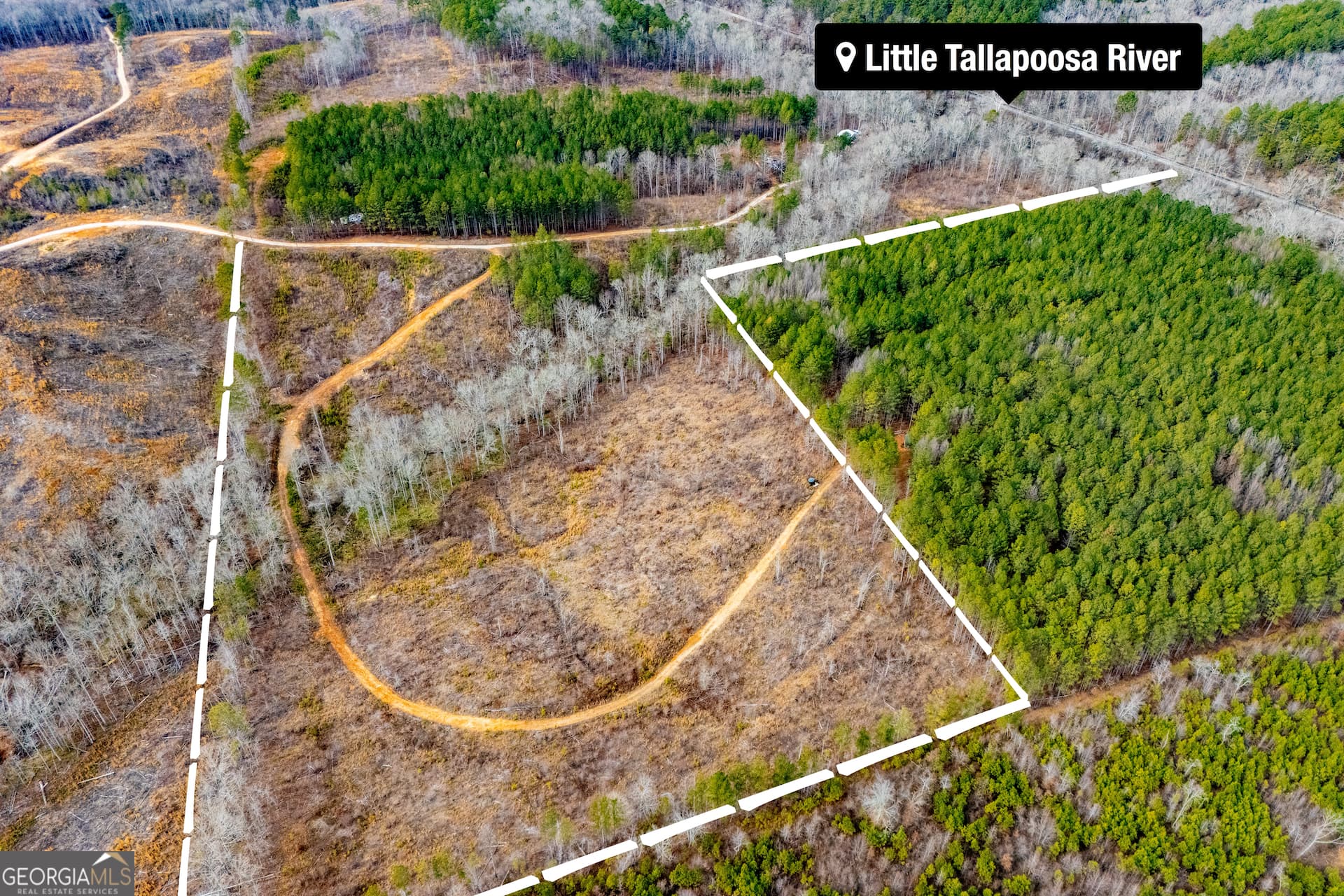 residential lot for sale at 1365 County road 290, Muscadine, AL 36269 — photo 1 of 34