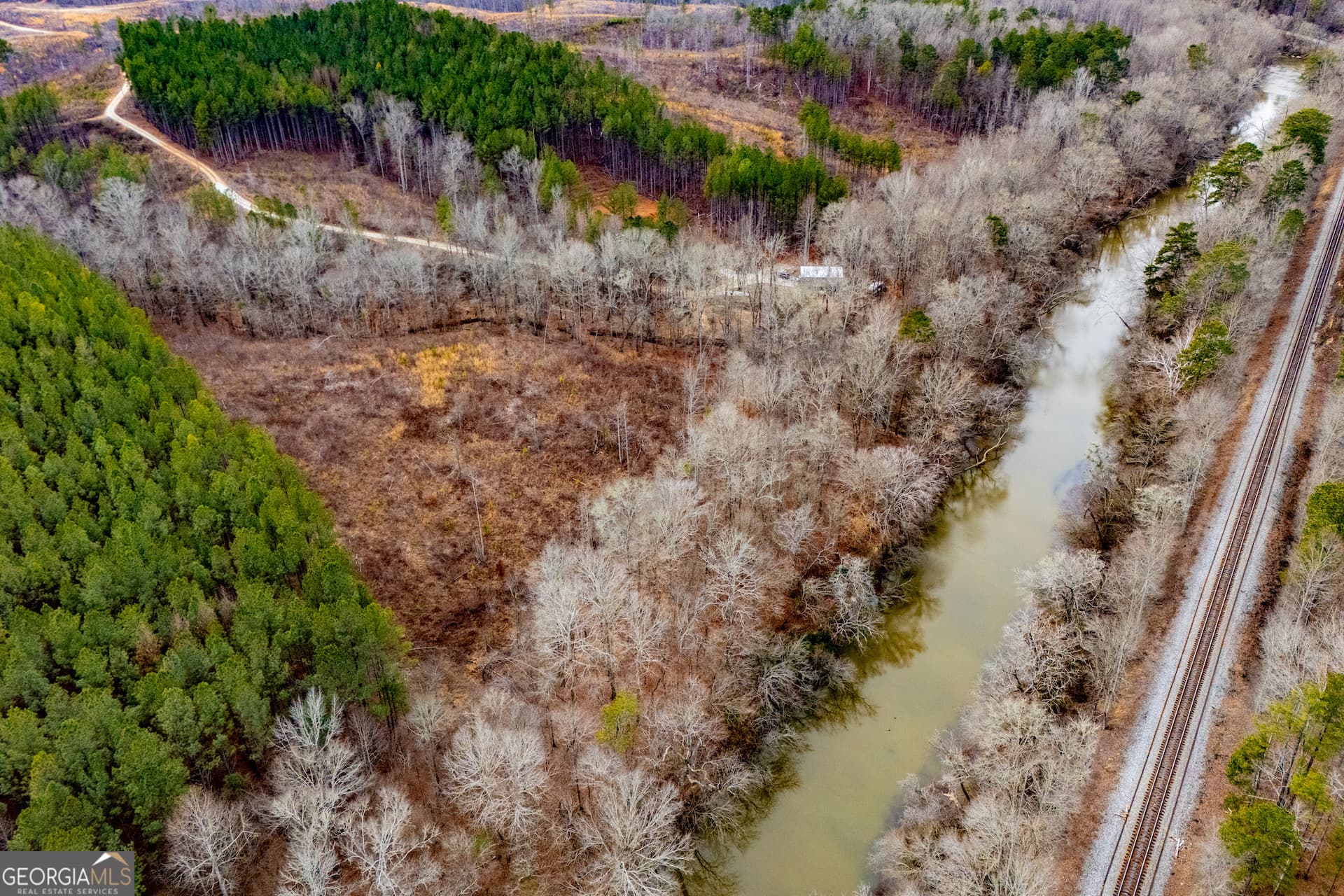residential lot for sale at 1365 County road 290, Muscadine, AL 36269 — photo 5
