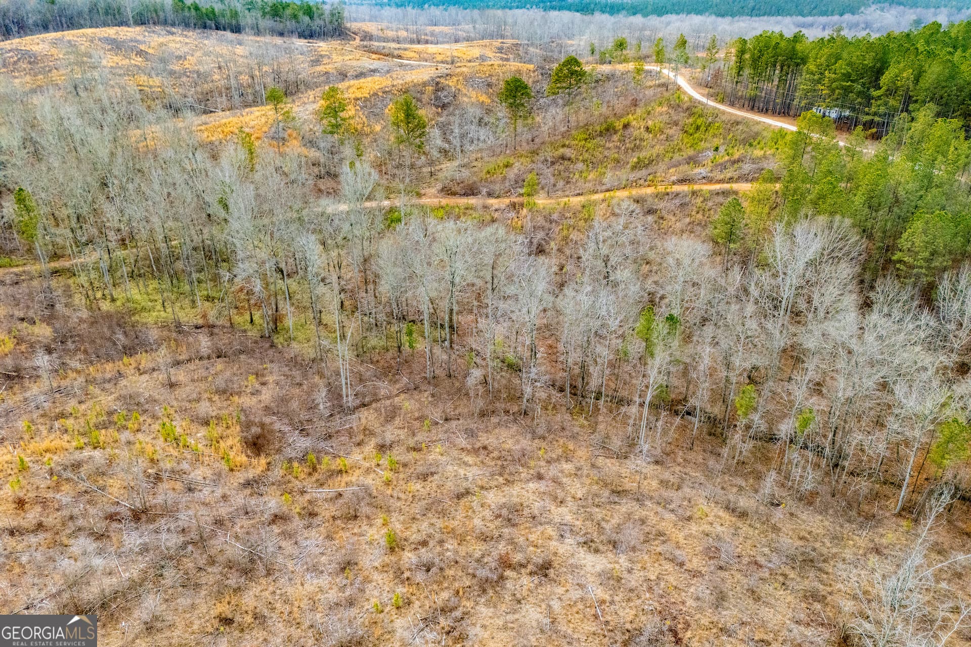 residential lot for sale at 1365 County road 290, Muscadine, AL 36269 — photo 9