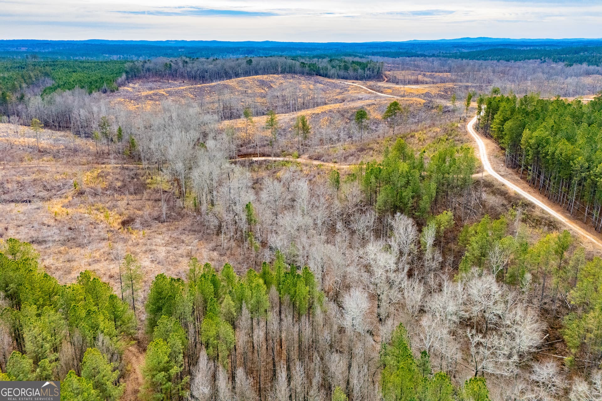 residential lot for sale at 1365 County road 290, Muscadine, AL 36269 — photo 10