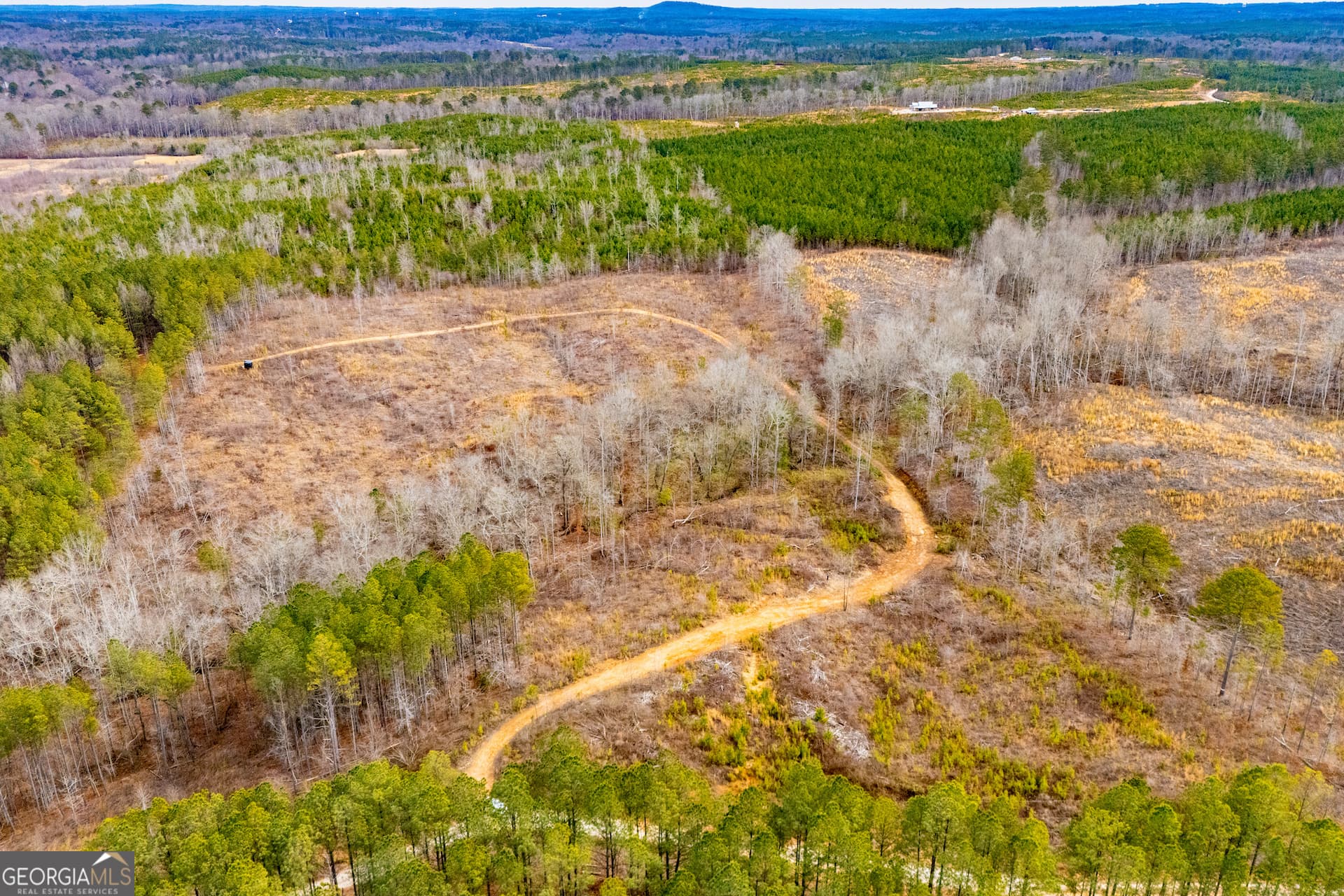 residential lot for sale at 1365 County road 290, Muscadine, AL 36269 — photo 8