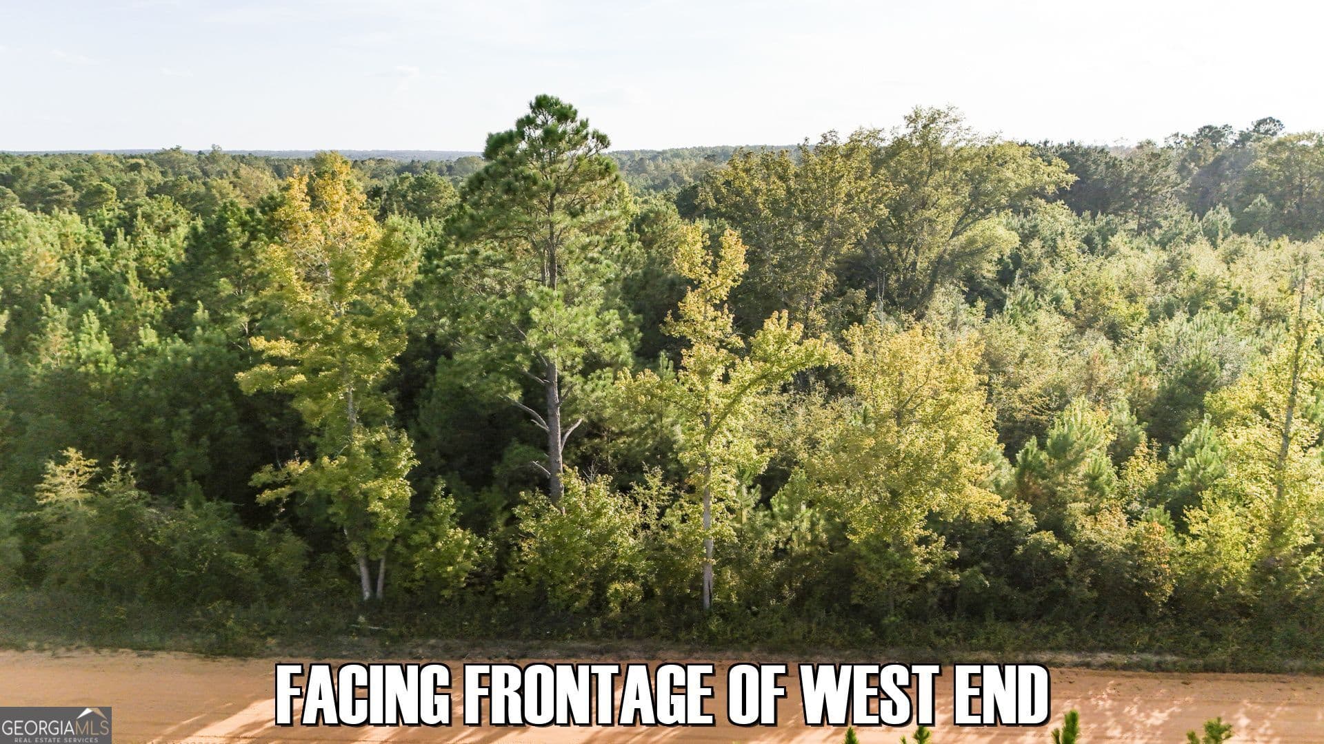 agriculture for sale at 2340 Joyner Oglesby Road (LOT 1), Sardis, GA 30456 — photo 4