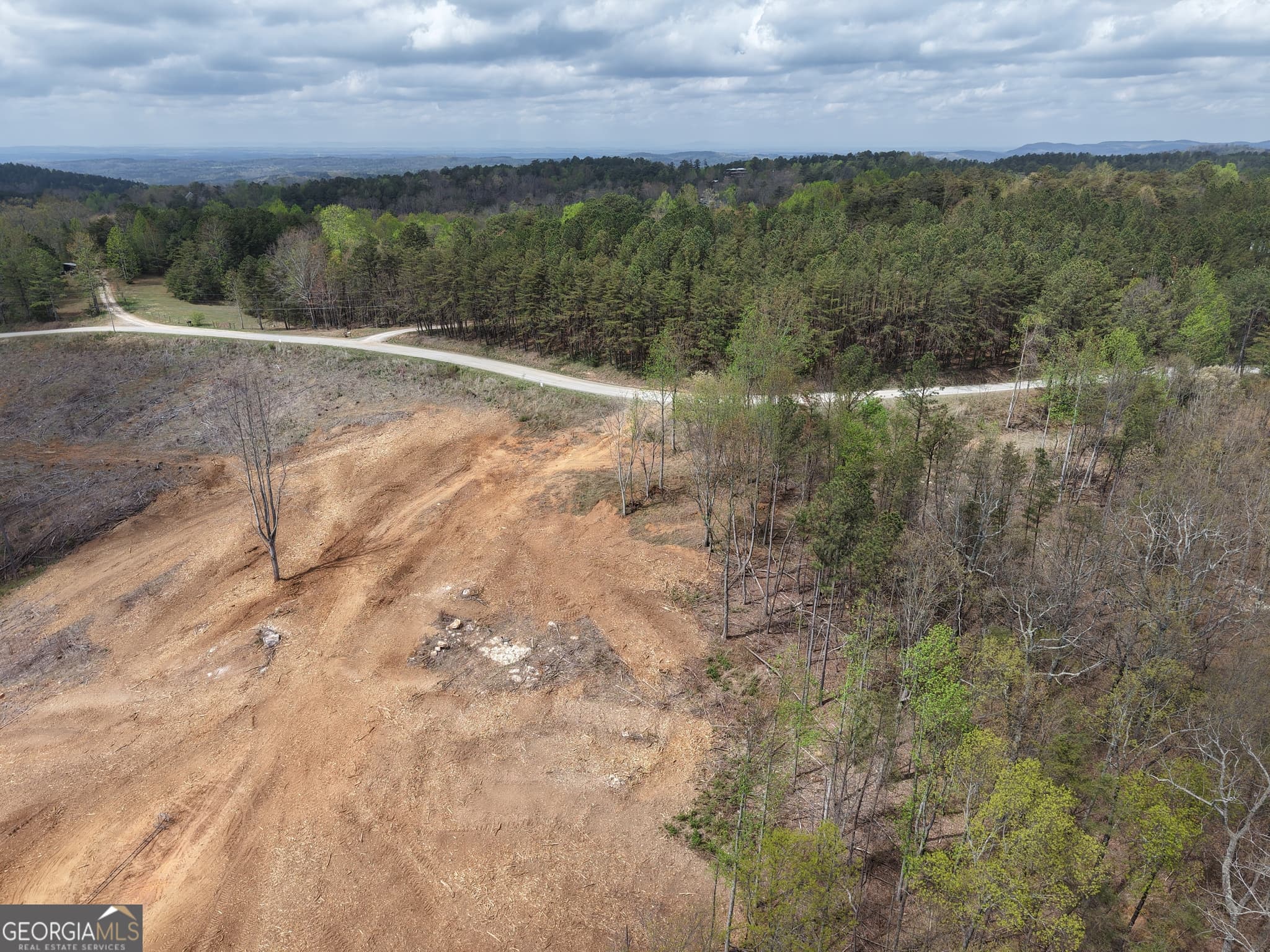 unimproved land for sale at 0 Angel Road 7206 PARCEL D, Fairmount, GA 30139 — photo 6