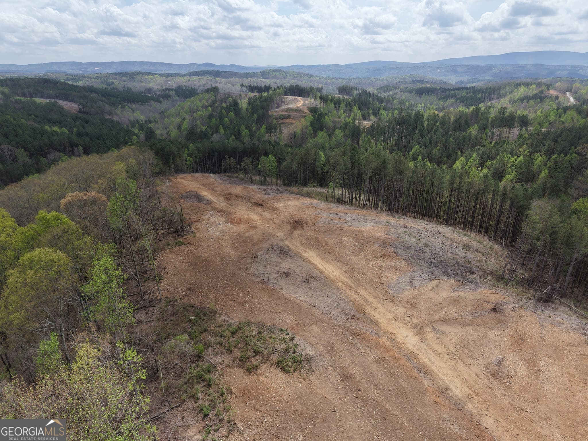 unimproved land for sale at 0 Angel Road 7206 PARCEL D, Fairmount, GA 30139 — photo 7