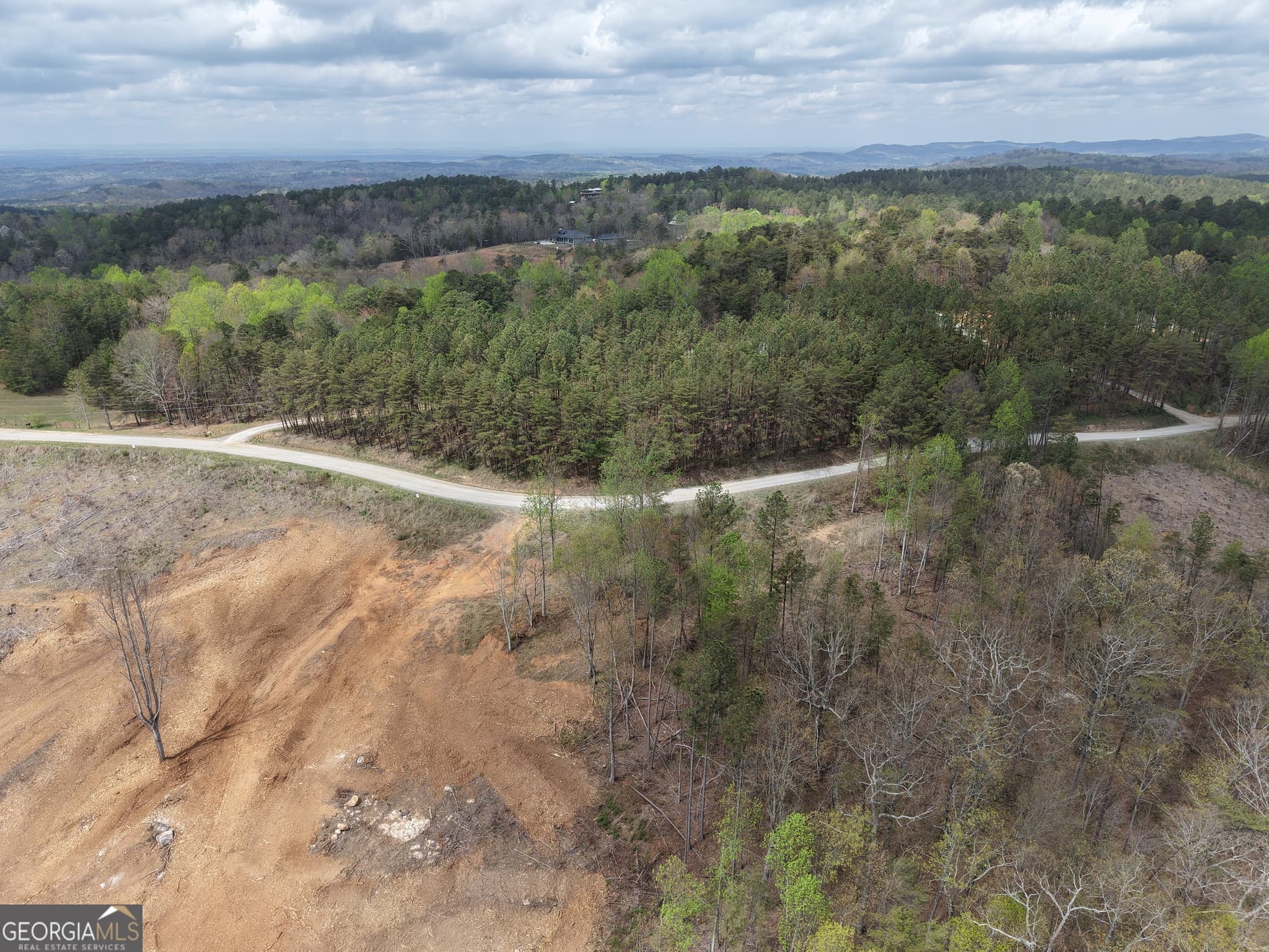 unimproved land for sale at 0 Angel Road 7206 PARCEL D, Fairmount, GA 30139 — photo 5