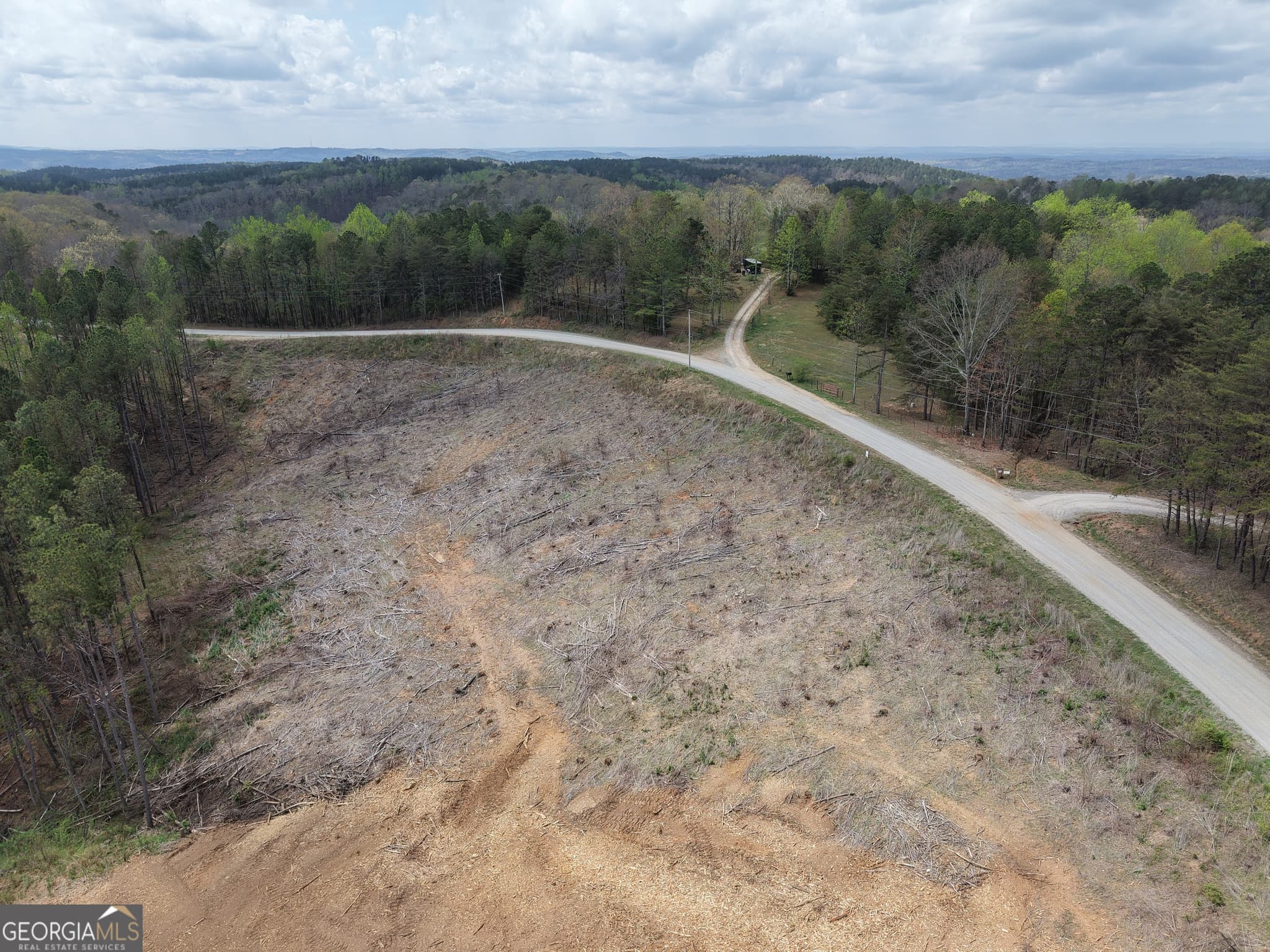 unimproved land for sale at 0 Angel Road 7206 PARCEL D, Fairmount, GA 30139 — photo 9