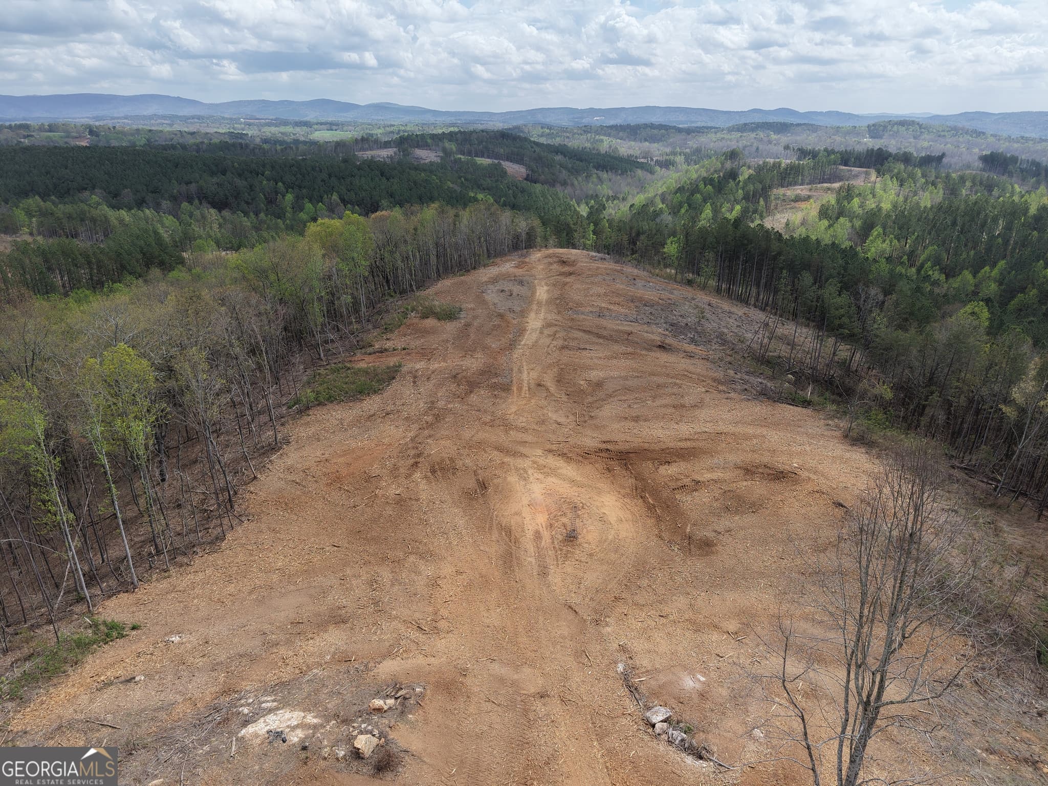 unimproved land for sale at 0 Angel Road 7206 PARCEL D, Fairmount, GA 30139 — photo 10