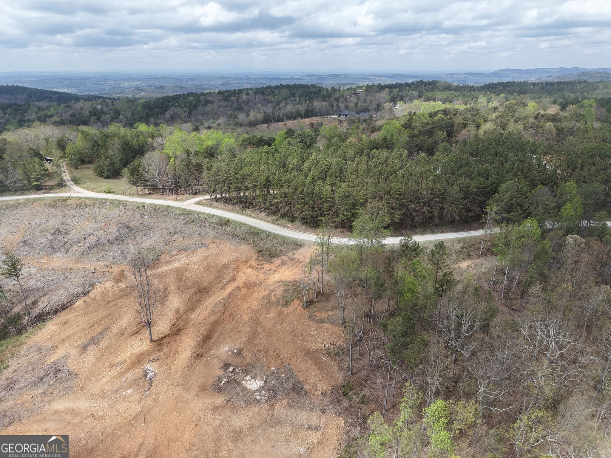 unimproved land for sale at 0 Angel Road 7206 PARCEL D, Fairmount, GA 30139 — photo 4