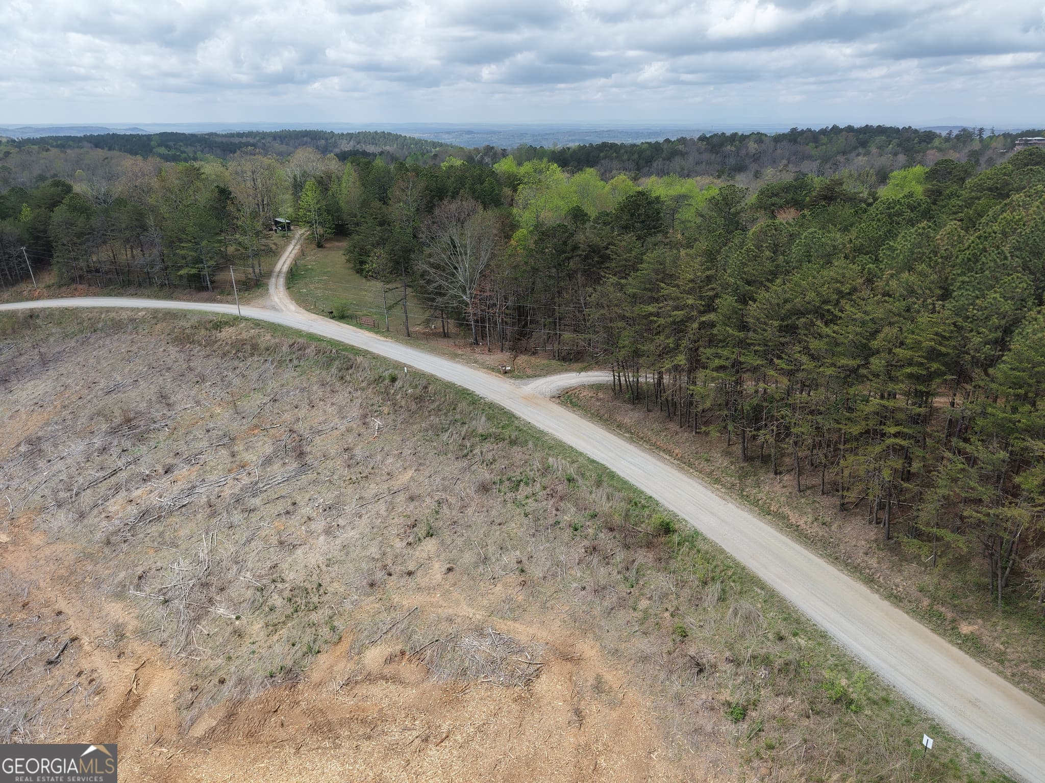 unimproved land for sale at 0 Angel Road 7206 PARCEL D, Fairmount, GA 30139 — photo 8