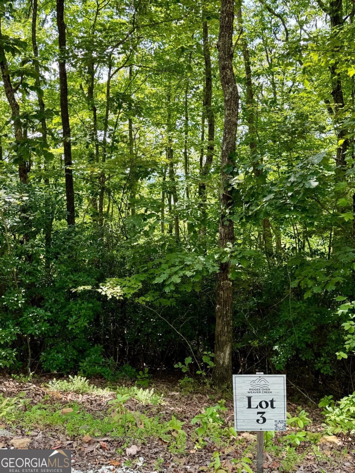 residential lot for sale at LOT 3 Blue Horizon Drive, Blue Ridge, GA 30513 — photo 1 of 25