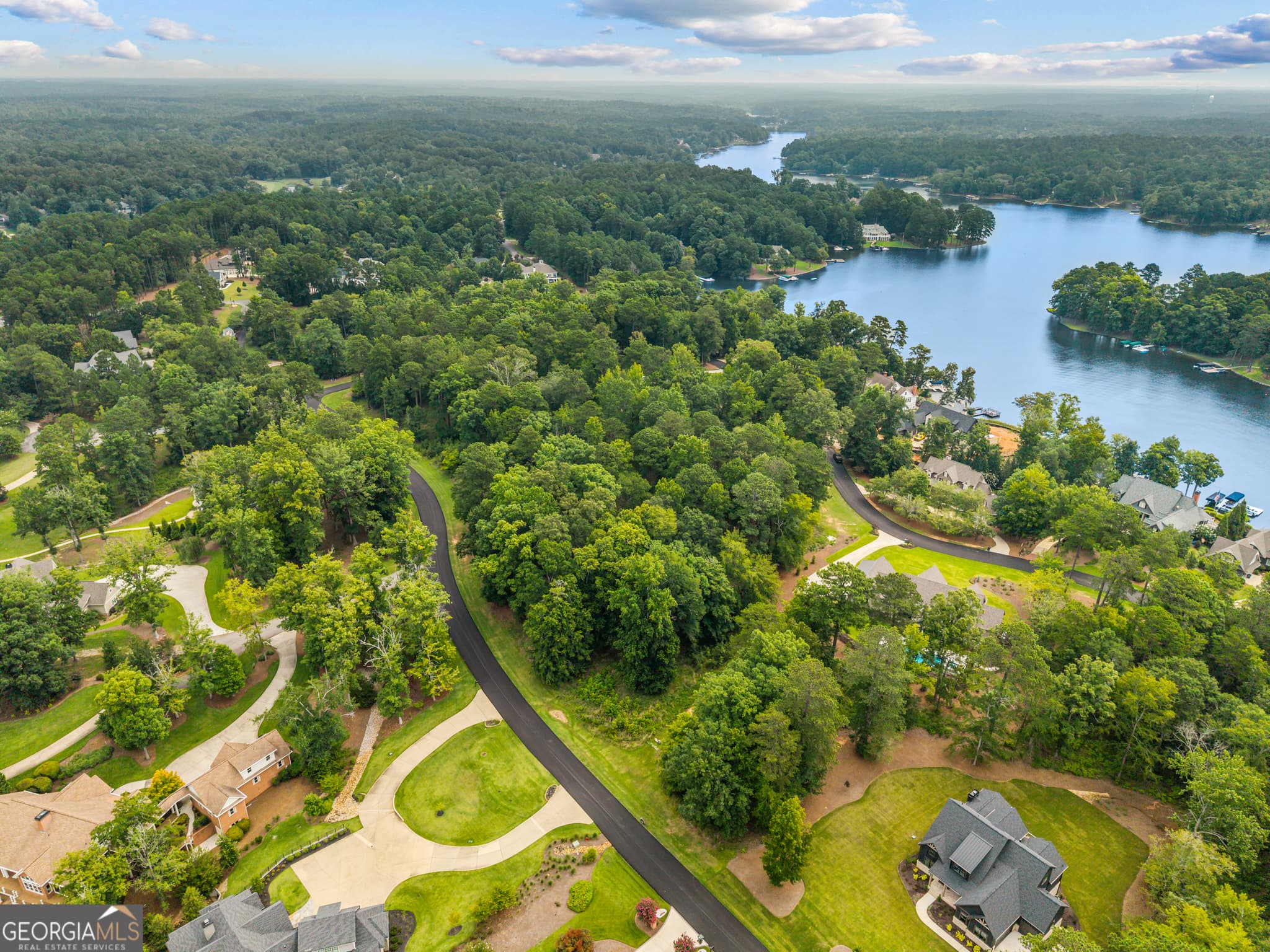 residential lot for sale at 1360 Lighthouse Circle, Greensboro, GA 30642 — photo 6